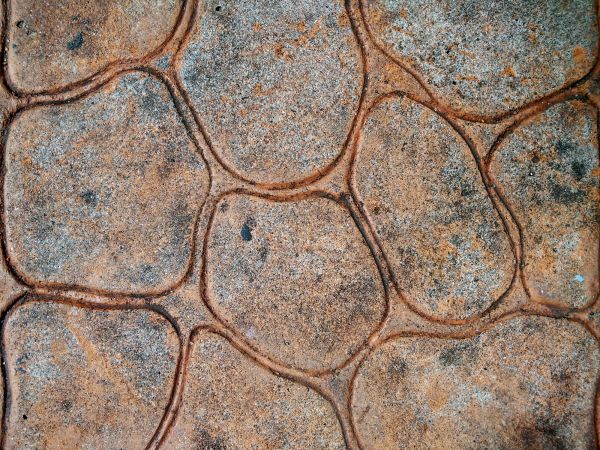 Concrete Stamping in Powell