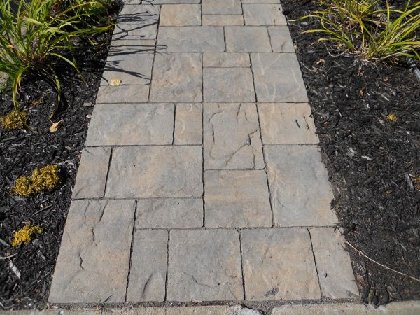 Stamped Concrete Staining in Powell